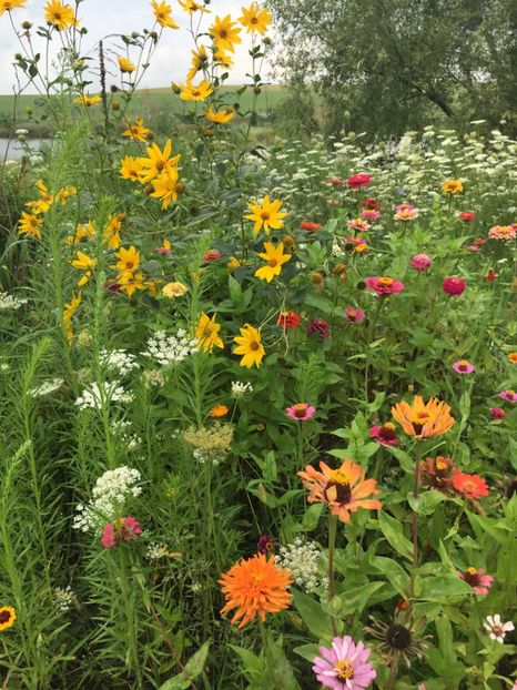 61672AF4-7C50-428D-8838-3749710908EB - Carciumarese 2018