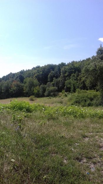 - Curtea de Argeș 2018