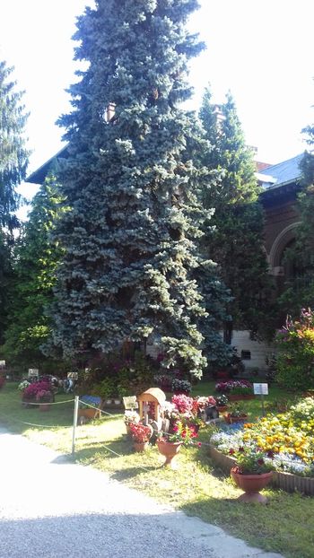  - Curtea de Argeș 2018