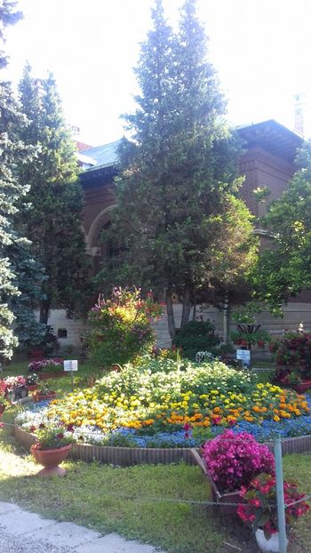  - Curtea de Argeș 2018