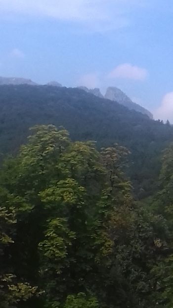  - Curtea de Argeș 2018