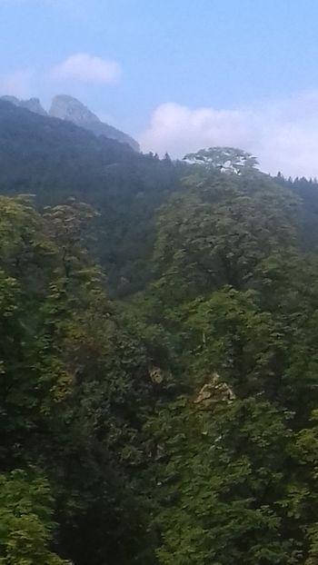  - Curtea de Argeș 2018