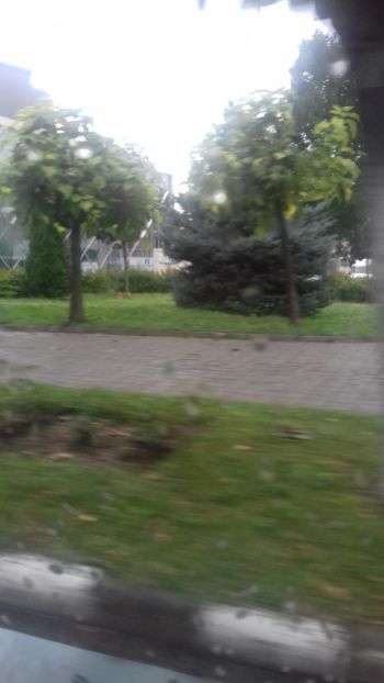  - Curtea de Argeș 2018