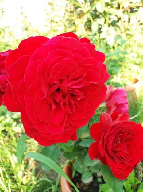  - Look Good Feel Better 1