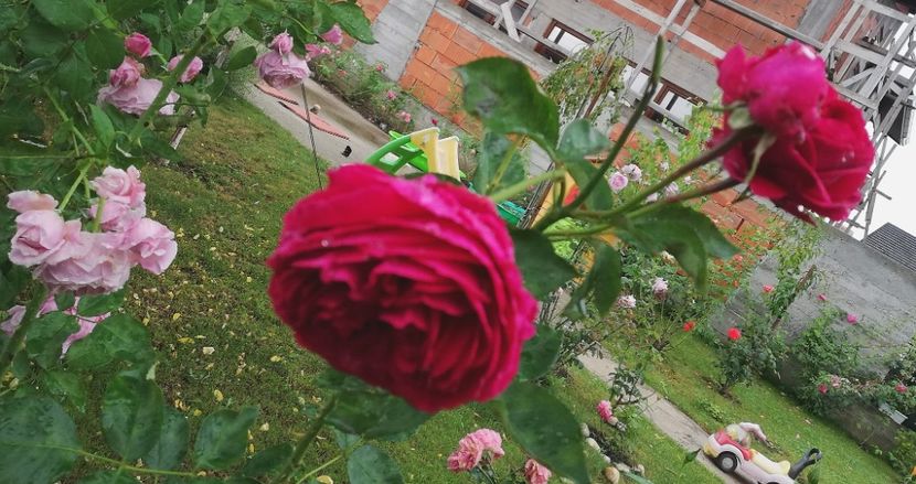  - Crown Princess Margareta
