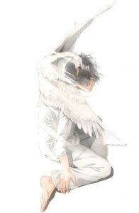  - 0 Anime - carera mea anime