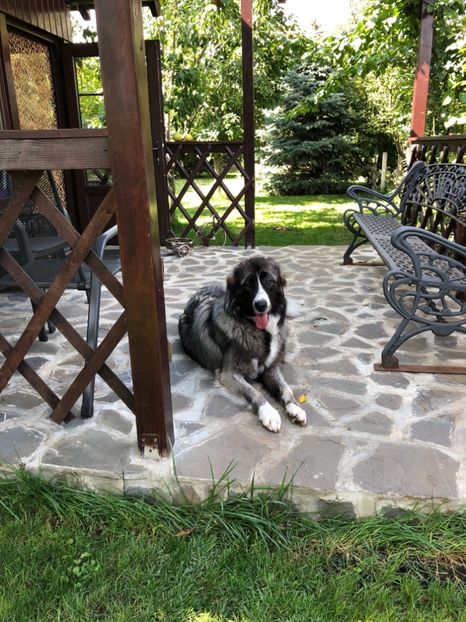 Dupa ce am periat-o.. - MARA DE CROITORU