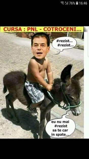  - Poze haioase pamflet