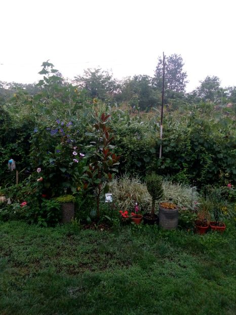  - Casuta noastra de la tara