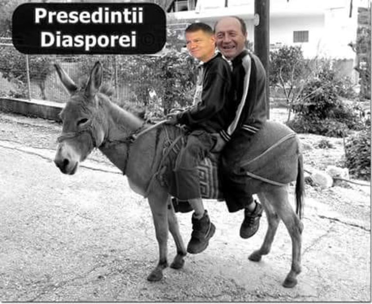  - Poze haioase pamflet