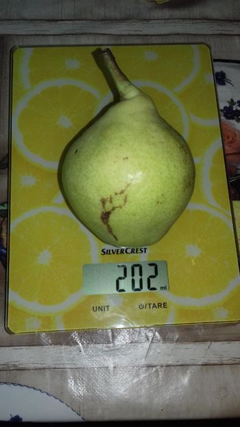  - Pară de la Vasile Pletea posibil Favorita lui Clapp