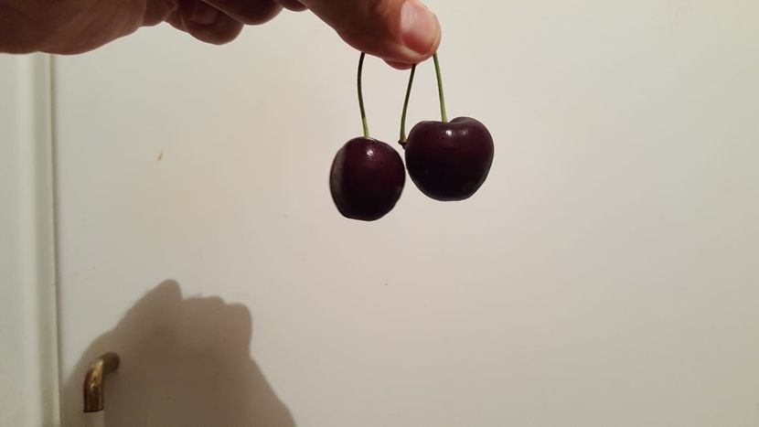 Eurovision 2018 - 2018 Eurovision Song Contest Part 6