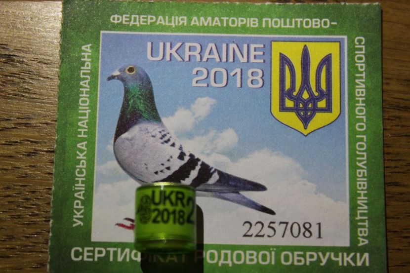 UA 2018 - UKRAINA