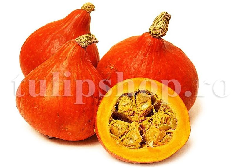 Seminte Dovleac Uchiki Kuri 30buc. - Seminte legume Dec 2019