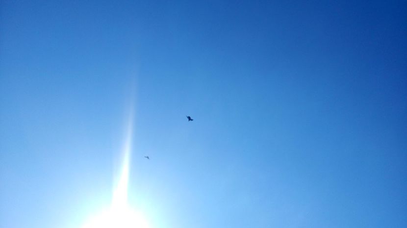  - antrenament de 3 ori pe saptamana
