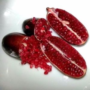 Citrus australasica roșu - Plantele mele 2018