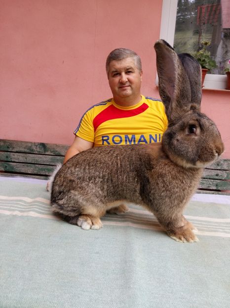 M RO 7  181  6,5 luni  7,3 KG - TINERET 2018