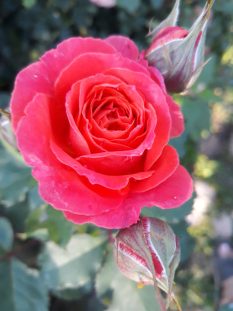  - EMILIEN GUILLOT Guillot 3