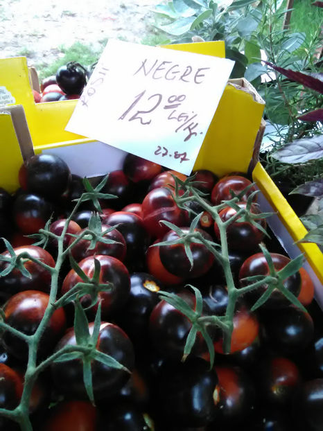  - Imagini 22 iulie 2018