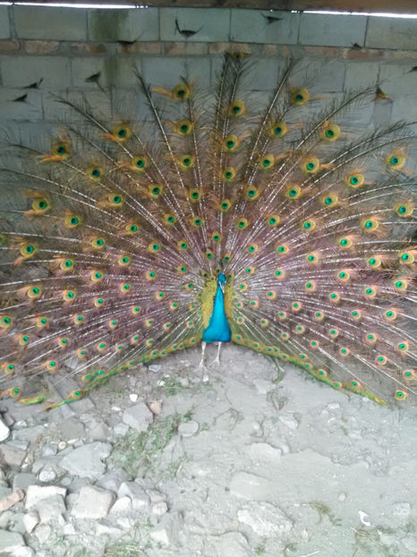  - Imagini 22 iulie 2018