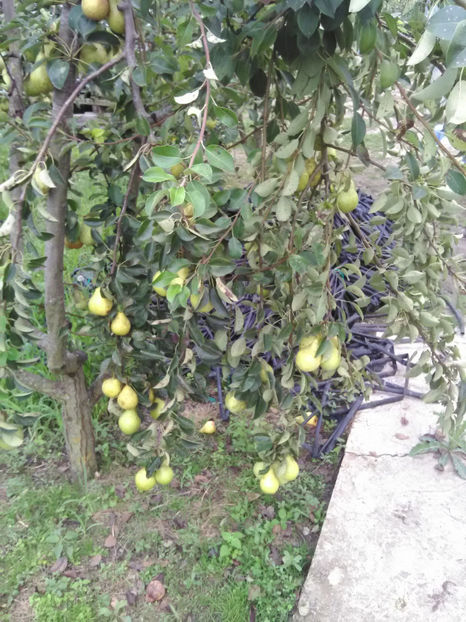  - Imagini 22 iulie 2018