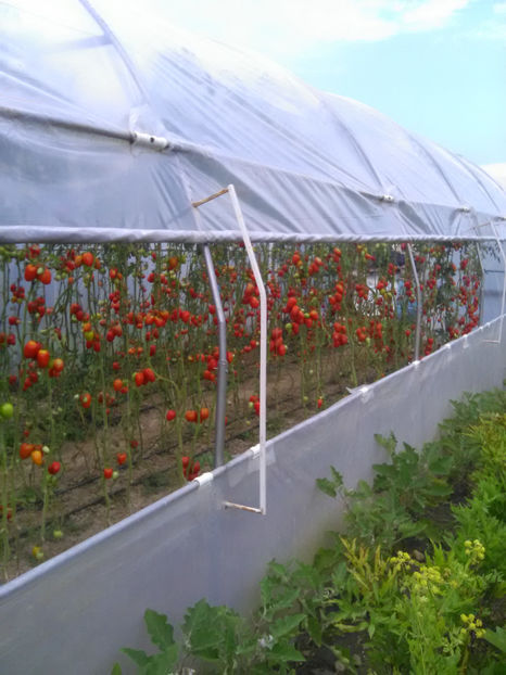  - Imagini 22 iulie 2018