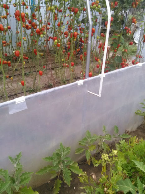  - Imagini 22 iulie 2018