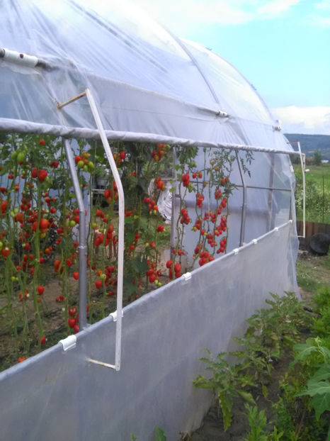  - Imagini 22 iulie 2018