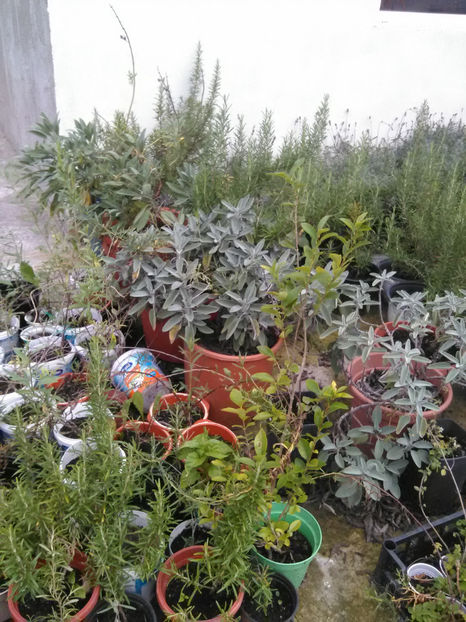  - Imagini 22 iulie 2018