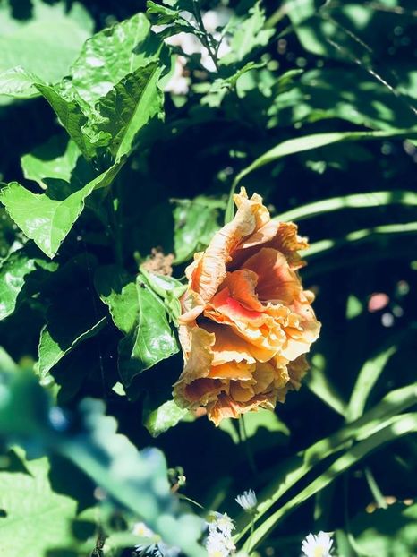 - august 2018