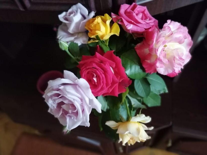 IMG-20180730-WA0001 - Flori