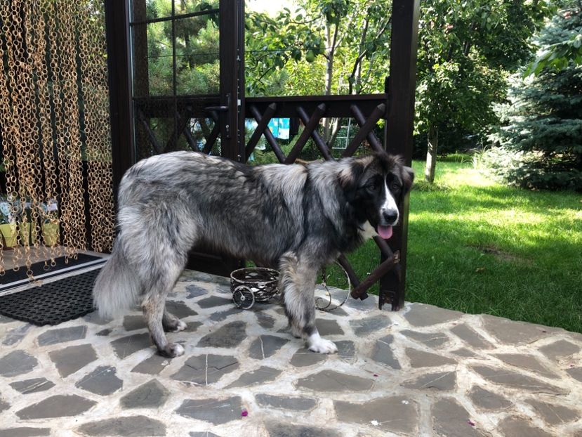 04.08.2018 Mara la un an - MARA DE CROITORU