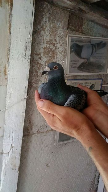 IMG-20180806-WA0008 - TARTU-1486km