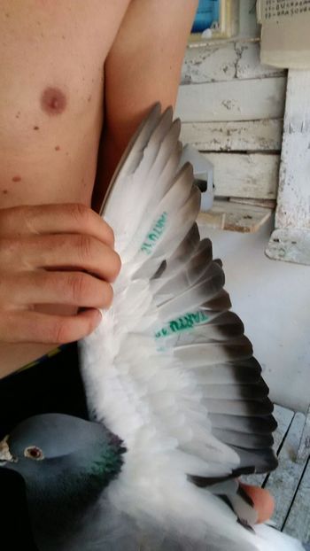 IMG-20180806-WA0009 - TARTU-1486km