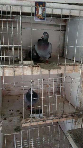 IMG-20180806-WA0046 - Severodonets-2