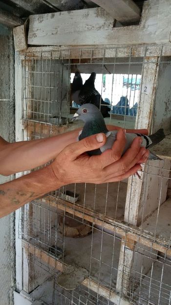 IMG-20180806-WA0049 - Severodonets-2