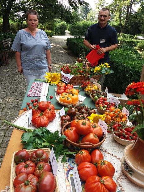  - A - A Festivalul tomatelor si biodiversitatii Buzau - 2018