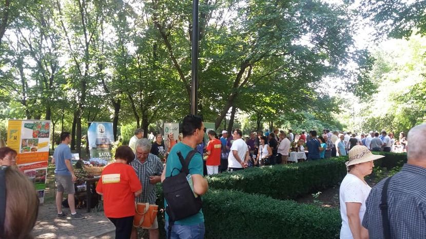  - A - A Festivalul tomatelor si biodiversitatii Buzau - 2018