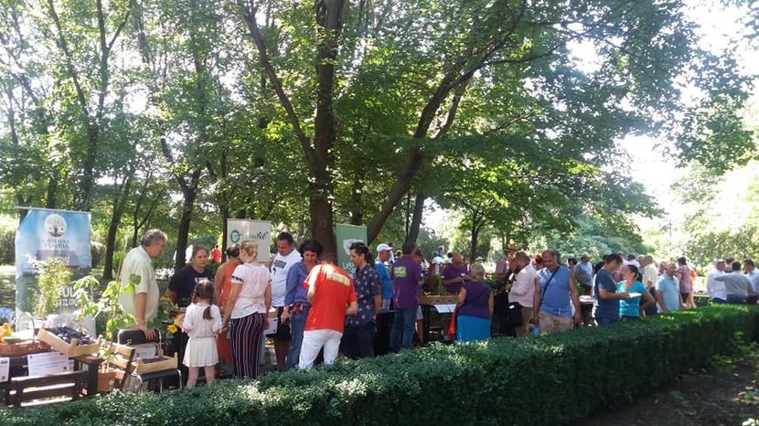  - A - A Festivalul tomatelor si biodiversitatii Buzau - 2018