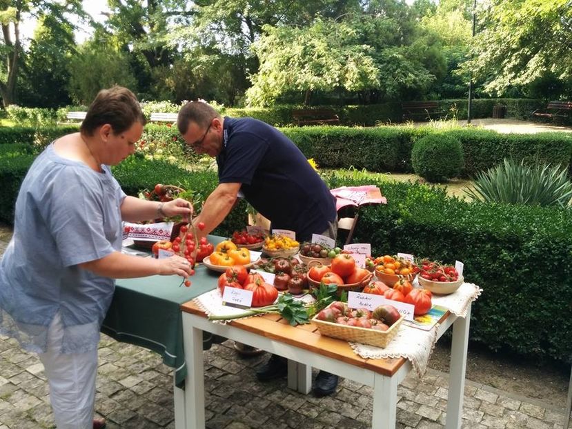  - A - A Festivalul tomatelor si biodiversitatii Buzau - 2018