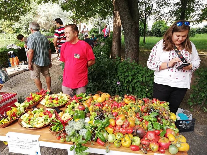  - A - A Festivalul tomatelor si biodiversitatii Buzau - 2018