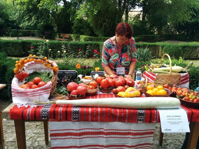  - A - A Festivalul tomatelor si biodiversitatii Buzau - 2018