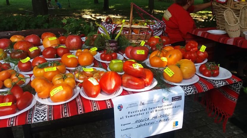  - A - A Festivalul tomatelor si biodiversitatii Buzau - 2018