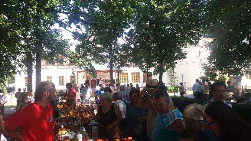  - A - A Festivalul tomatelor si biodiversitatii Buzau - 2018