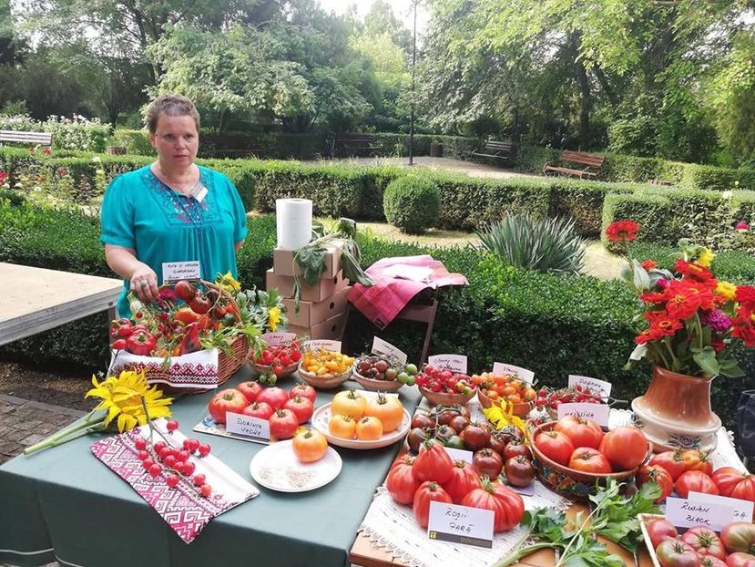  - A - A Festivalul tomatelor si biodiversitatii Buzau - 2018