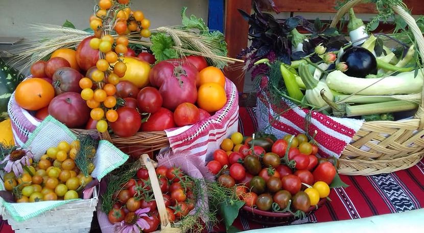  - A - A Festivalul tomatelor si biodiversitatii Buzau - 2018