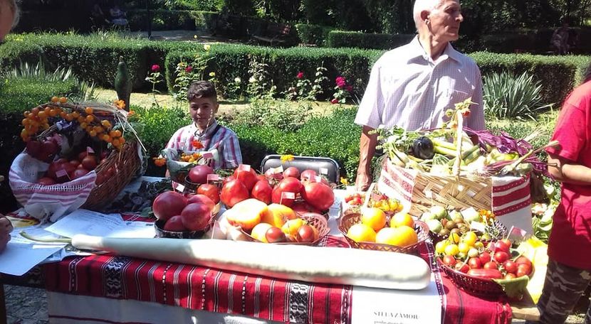  - A - A Festivalul tomatelor si biodiversitatii Buzau - 2018