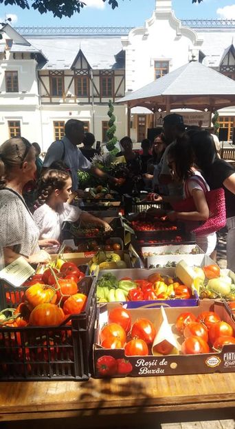  - A - A Festivalul tomatelor si biodiversitatii Buzau - 2018