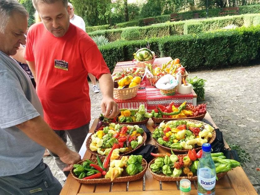  - A - A Festivalul tomatelor si biodiversitatii Buzau - 2018