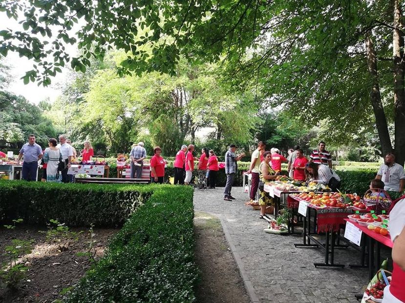  - A - A Festivalul tomatelor si biodiversitatii Buzau - 2018